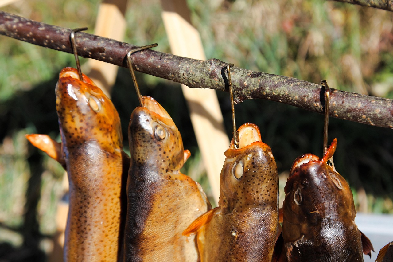 erfahren sie effektive methoden und tipps zur fischzubereitung für schmackhafte und frische gerichte.